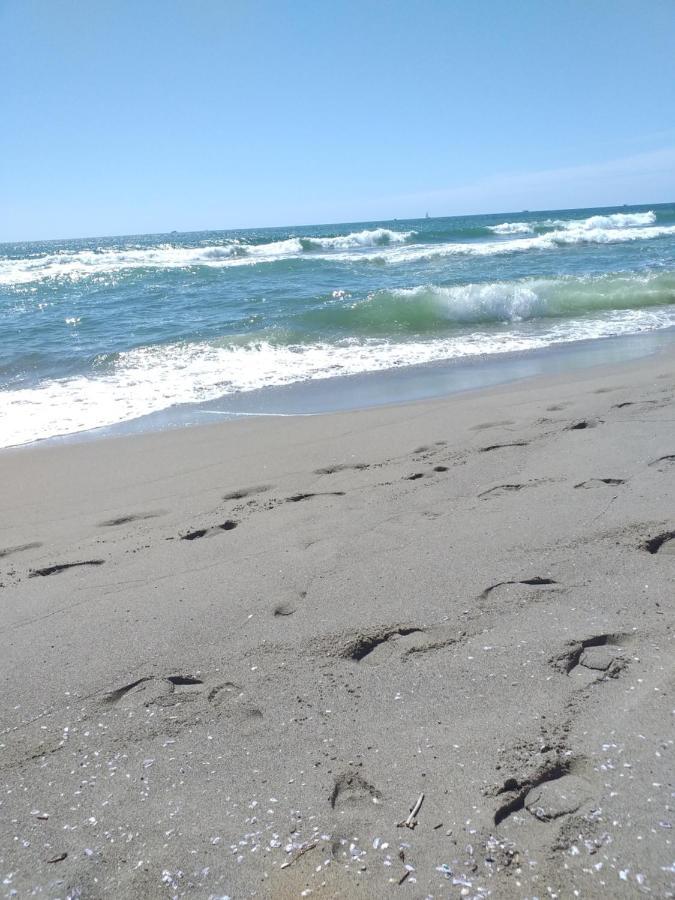 Sea Side Studio فياريجيو المظهر الخارجي الصورة